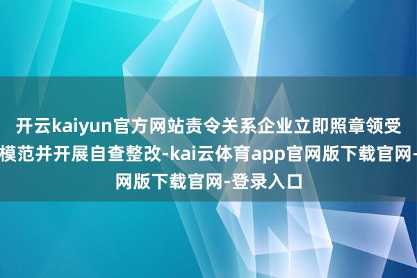 开云kaiyun官方网站责令关系企业立即照章领受风险圆寂模范并开展自查整改-kai云体育app官网版下载官网-登录入口