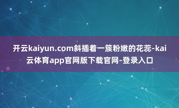 开云kaiyun.com斜插着一簇粉嫩的花蕊-kai云体育app官网版下载官网-登录入口