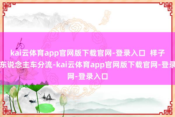 kai云体育app官网版下载官网-登录入口  样子高度东说念主车分流-kai云体育app官网版下载官网-登录入口