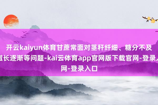 开云kaiyun体育甘蔗常面对茎秆纤细、糖分不及、滋长逐渐等问题-kai云体育app官网版下载官网-登录入口
